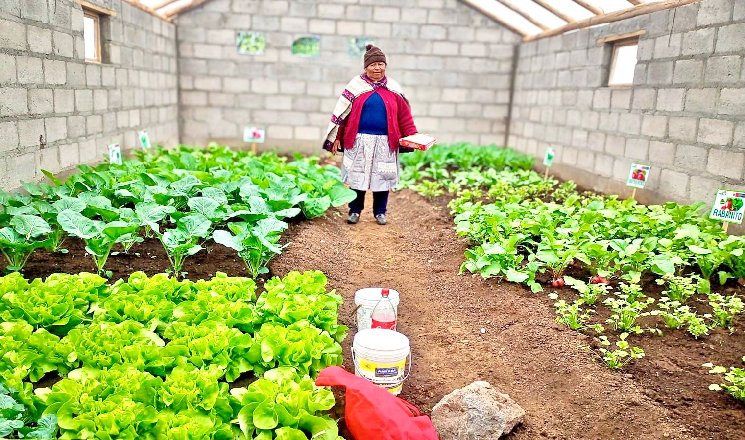 Gobierno realiza acciones para mitigar los efectos de las heladas y entrega S/ 1000 en insumos agrícolas en apoyo a la agricultura familiar