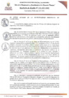 Vista preliminar de documento RAN176-2025