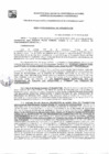 Vista preliminar de documento GDE 193-25