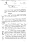 Vista preliminar de documento DIRECTIVA_N001_2017_MDLM_GM