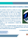 Vista preliminar de documento Comunicado 13 CCCGOYCLC-MINSA