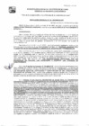 Vista preliminar de documento GDE-181-25