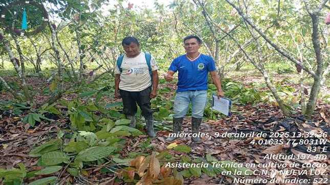 archivo jpg de Gerencia de desarrollo