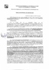 Vista preliminar de documento GDE-196-25