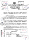 Vista preliminar de documento Resolución Gerencial N° 023-2025-GDTyGI-MPP