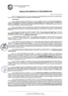 Vista preliminar de documento RESOLUCION GERENCIAL Nº 055-2025-MPS-GDE