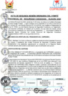 Vista preliminar de documento II SESIÓN ORDINARIA 2025 COPROSEC HUAURA