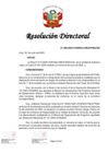 Vista preliminar de documento RD 088-2025