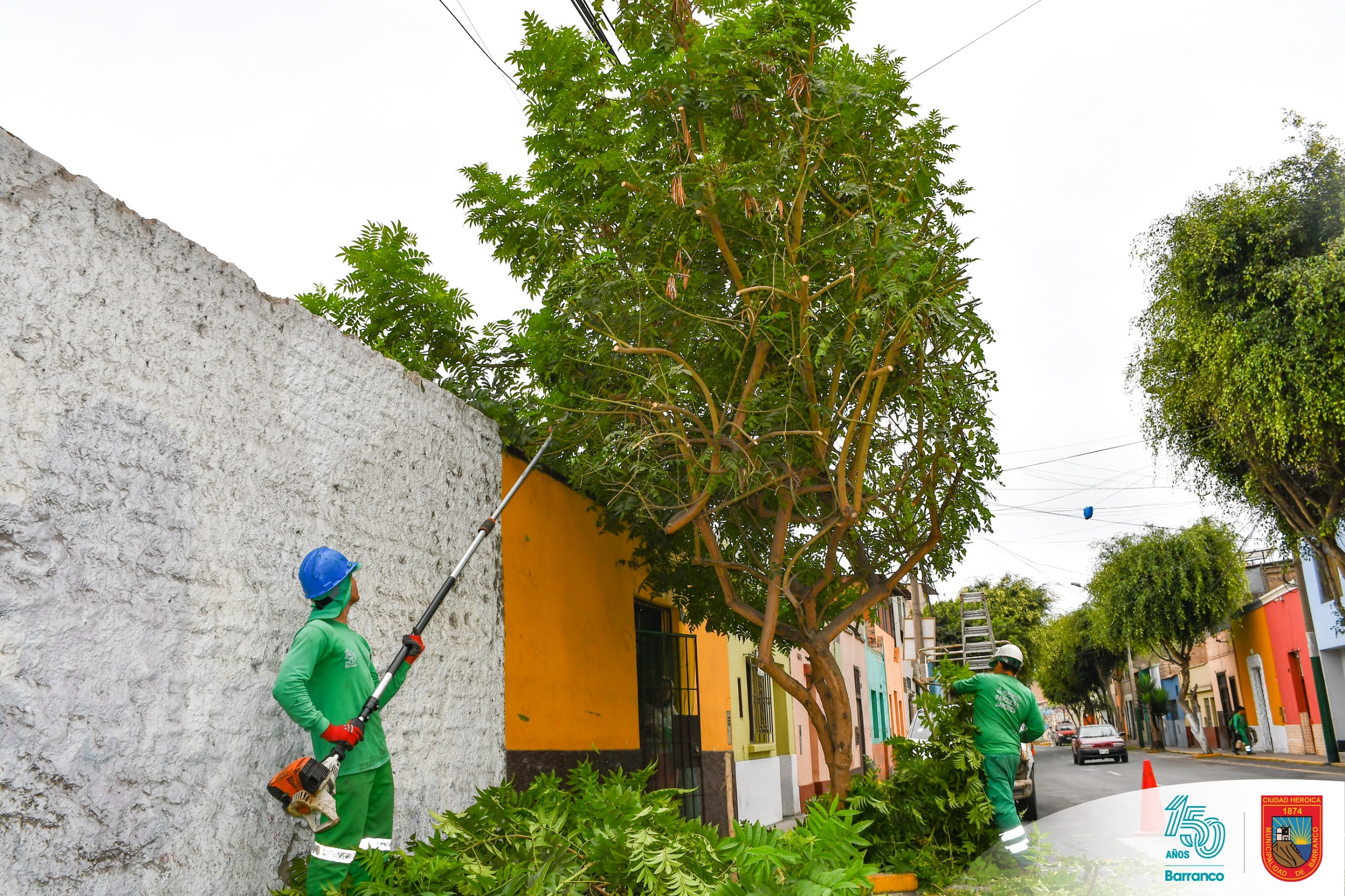 Mantenimiento de áreas verdes en Av. Lima