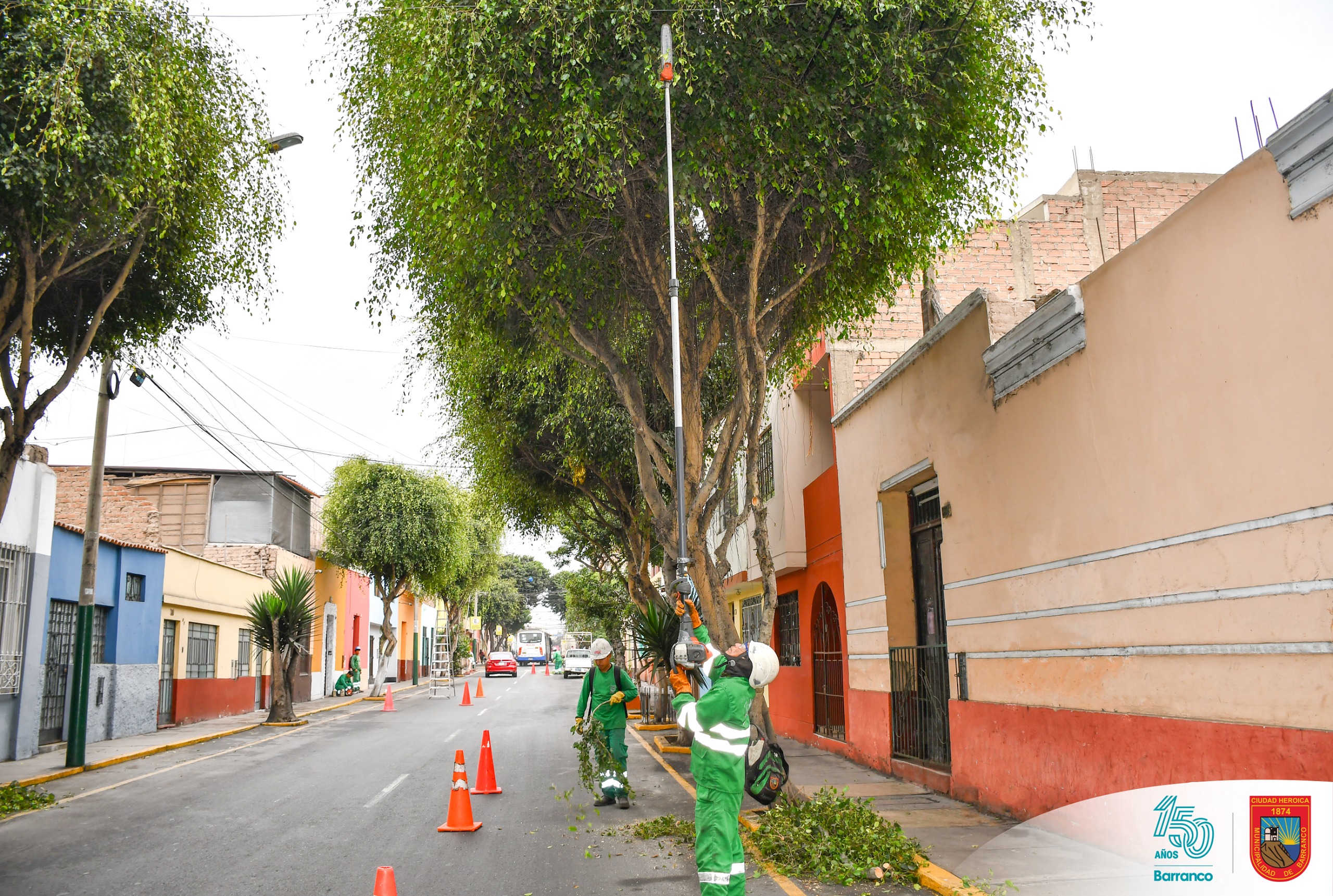 Mantenimiento de áreas verdes en Av. Lima