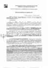 Vista preliminar de documento GDE-197-25