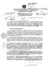 Vista preliminar de documento Resolución Gerencial N° 025-2025-GDTyGI-MPP
