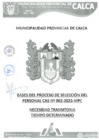 Vista preliminar de documento BASES
