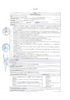 Vista preliminar de documento PERFILES DE PLAZAS