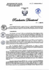 Vista preliminar de documento RD N°330-2025-DG-DIRIS-LC