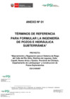 Vista preliminar de documento ANEXO N° 1 TDR Pozo