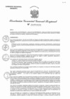 Vista preliminar de documento RGGR 0310-2025-GRA/GGR