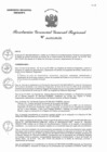 Vista preliminar de documento RGGR 0311-2025-GRA/GGR