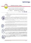 Vista preliminar de documento R.E.R. N203-2025GRT-GR_22Abril2025