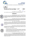 Vista preliminar de documento Resolucion Directoral N° 003421-2025