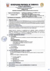 Vista preliminar de documento TDR Nº 1976