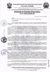 Vista preliminar de documento RCO-N°001-2025-CO-UNISCJSA