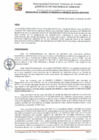 Vista preliminar de documento GDU-166-25