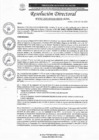 Vista preliminar de documento R.D N°0762-2025-DIRESA-OGESS-HC DG