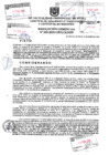 Vista preliminar de documento Resolución Gerencial N° 035-2025-GDTyGI-MPP 