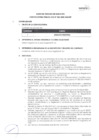 Vista preliminar de documento BASES    