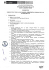 Vista preliminar de documento Proceso de Selección CAS Nº11-2025-INSM HD-HN (Transitorio)