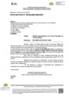 Vista preliminar de documento OFICIO MULTIPLE-000185-2025-DGP