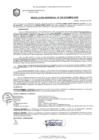Vista preliminar de documento RESOLUCION GERENCIAL Nº 225-2025-MPS-GDE
