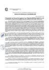 Vista preliminar de documento RESOLUCION GERENCIAL Nº 243-2025-MPS-GDE
