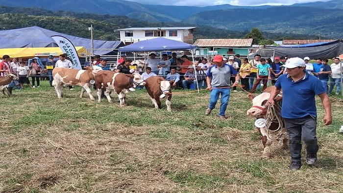 N. CHIRIMOTO 1