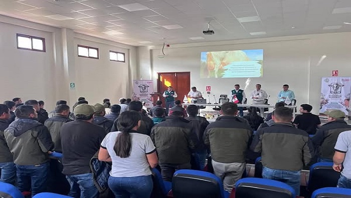 CURSO GANADO 2