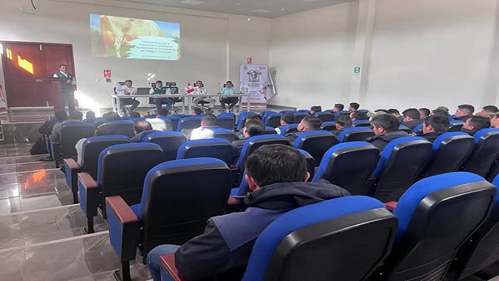 CURSO GANADO 5