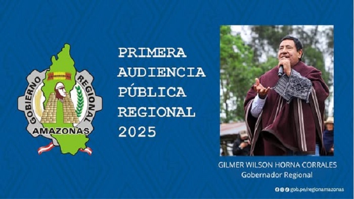 AUDIENCIA 1