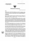 Vista preliminar de documento R.D. 0645-2025-DMID-DIRIS- LE-MINSA
