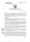 Vista preliminar de documento R.D. 0647-2025-DMID-DIRIS- LE-MINSA