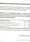 Vista preliminar de documento 09-06-2025  - 2