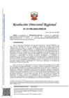 Vista preliminar de documento RDR-1768-2025-DRELM
