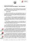 Vista preliminar de documento RSG 000211-2025-SG-MC
