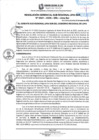 Vista preliminar de documento RGSRLS 0041-2025