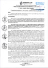 Vista preliminar de documento RGSRLS 0043-2025