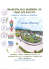 Vista preliminar de documento DIRECTIVA N° 002-2025-UCP-MDCDP0760