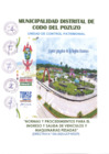 Vista preliminar de documento DIRECTIVA N° 004-2025-UCP-MDCDP0762