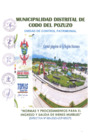 Vista preliminar de documento DIRECTIVA N° 005-2025-UCP-MDCDP0763