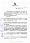 Vista preliminar de documento Resolucion 236