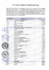 Vista preliminar de documento ACTA DE RECAUDACION DE INGRESOS MAYO 2025